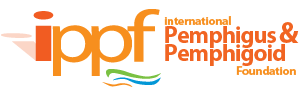ippf uses SurveyGizmo